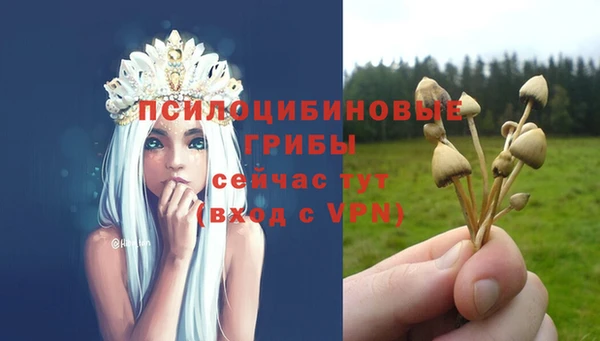 прущая мука Ростов