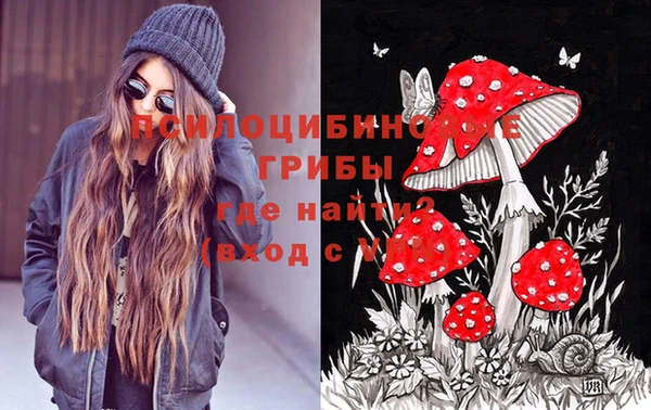 mdpv Рославль