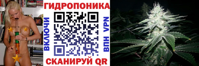 Конопля Ganja  гидра ТОР  Среднеколымск 